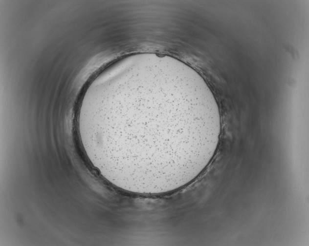 X0000113280242200910131011