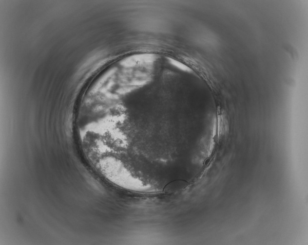 X0000113280243200910131011