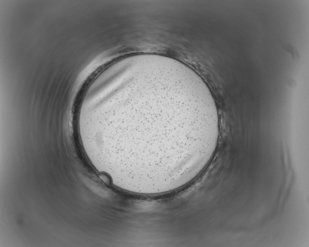X0000113280246200910131011