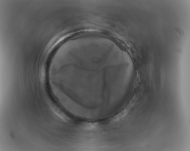 X0000113280247200910131011