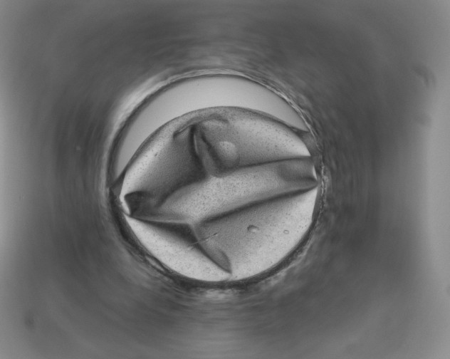 X0000113280248200910131011