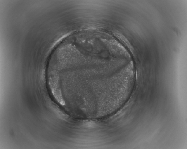 X0000113280249200910131011