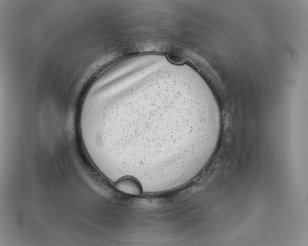 X0000113280250200910131011