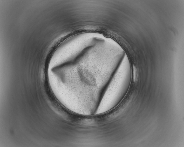 X0000113280252200910131011