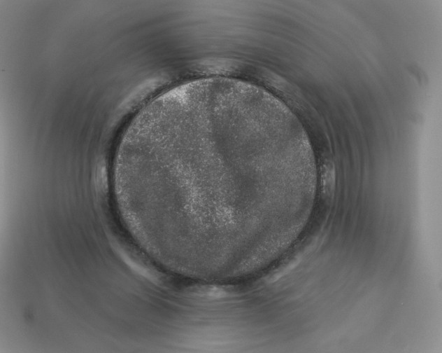 X0000113280254200910131011