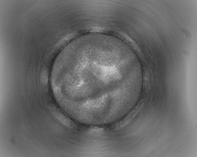 X0000113280257200910131011