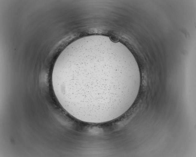X0000113280258200910131011