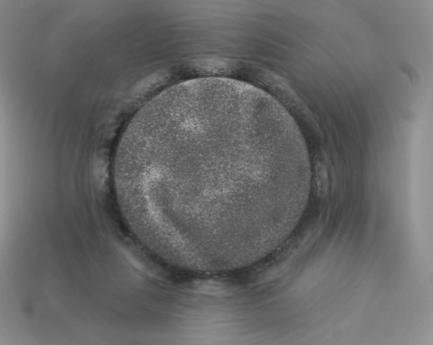 X0000113280259200910131011