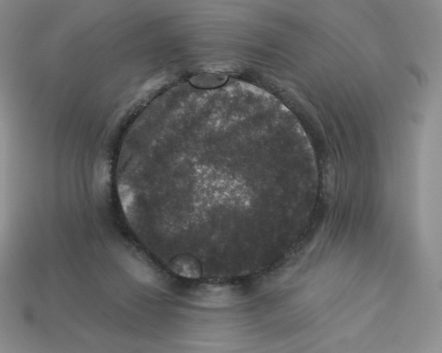 X0000113280260200910131011