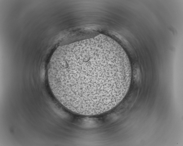 X0000113280261200910131011