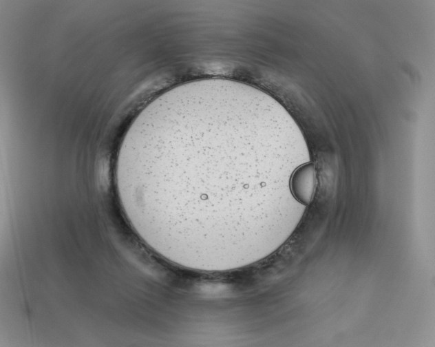 X0000113280262200910131011