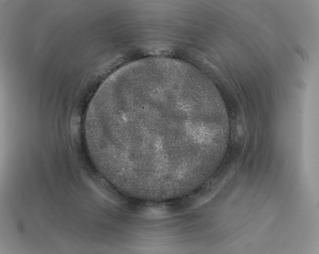 X0000113280263200910131011
