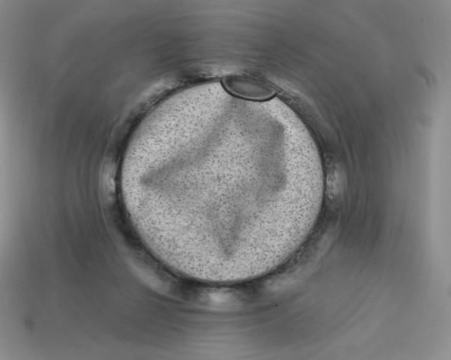 X0000113280264200910131011