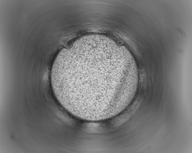 X0000113280265200910131011