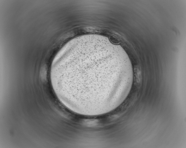 X0000113280266200910131011