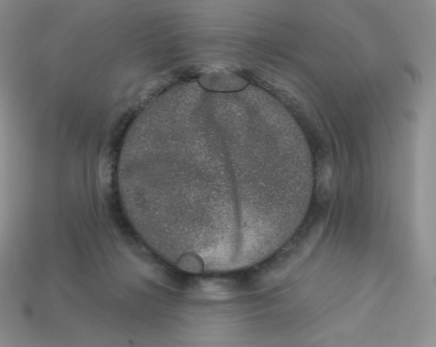X0000113280268200910131011