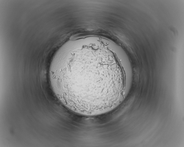 X0000113280269200910131011