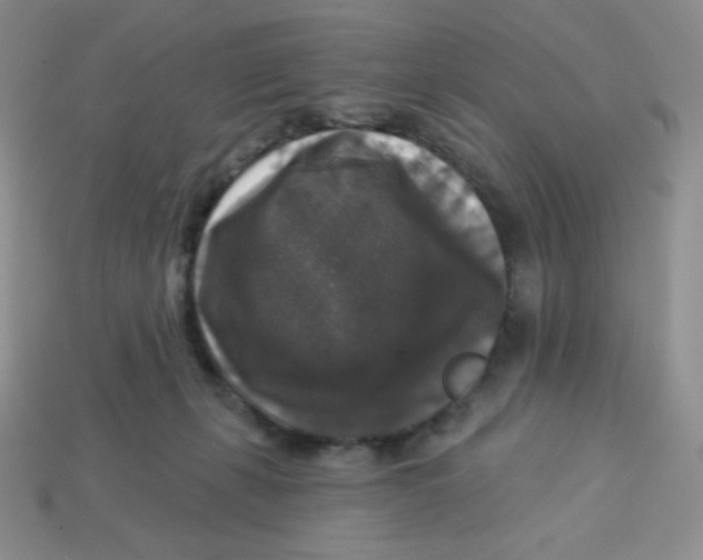 X0000113280271200910131011