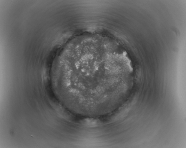 X0000113280272200910131011