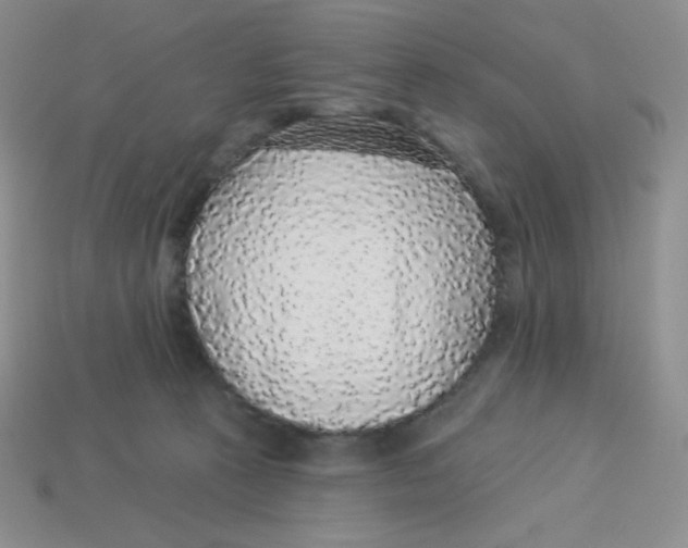 X0000113280273200910131011