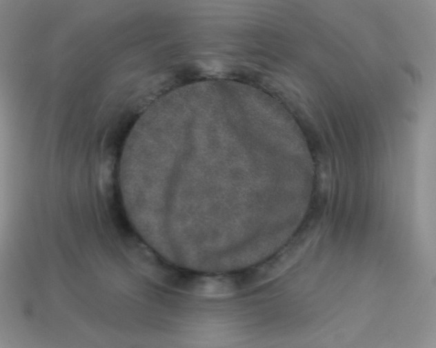 X0000113280275200910131011