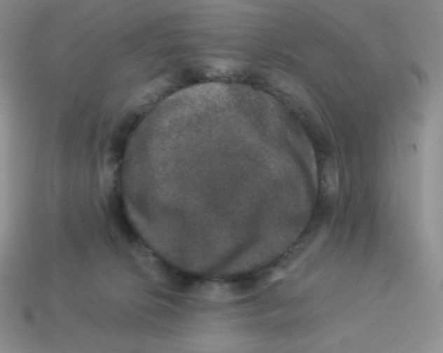 X0000113280276200910131011