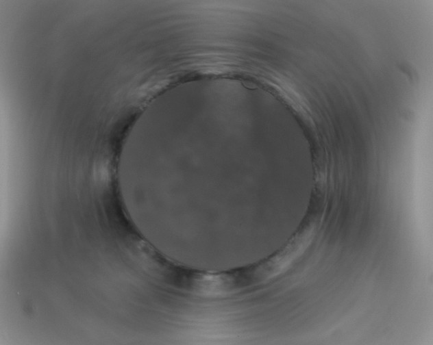 X0000113280277200910131011