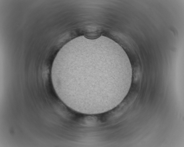 X0000113280279200910131011