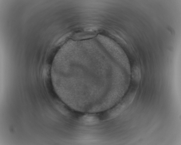 X0000113280280200910131011