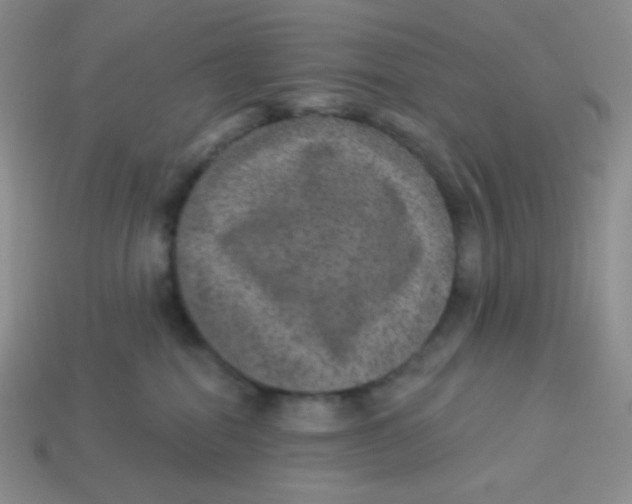 X0000113280282200910131012
