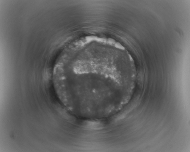 X0000113280284200910131012