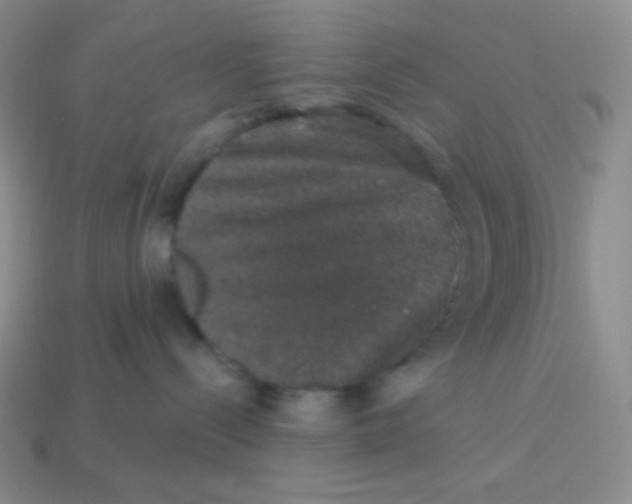 X0000113280288200910131012
