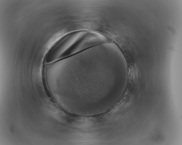 X0000113280292200910131011