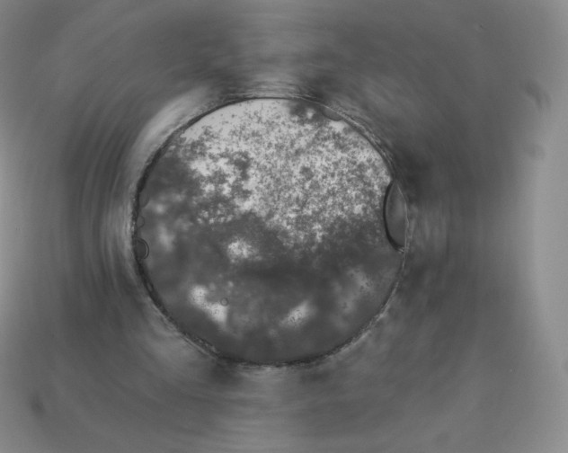 X0000113280293200910131011