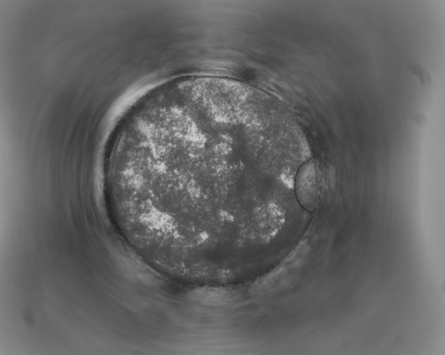 X0000113280294200910131011