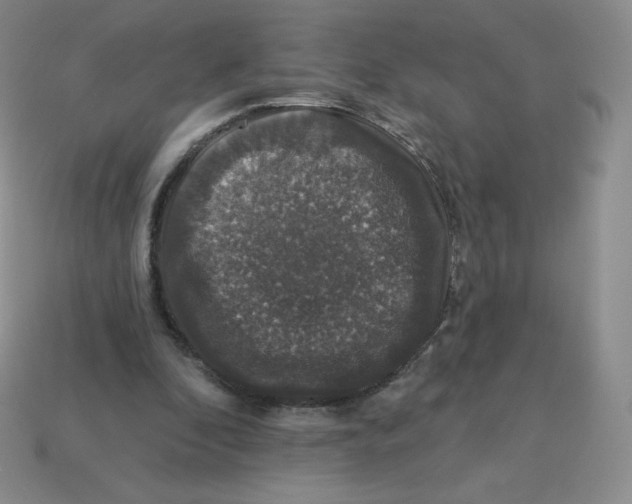 X0000113280296200910131011