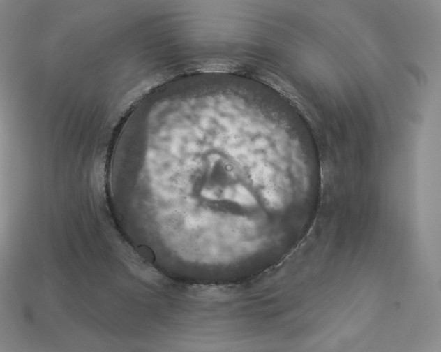 X0000113280297200910131011