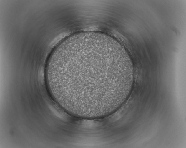 X0000113280298200910131011