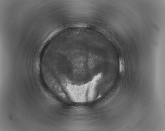 X0000113280300200910131011