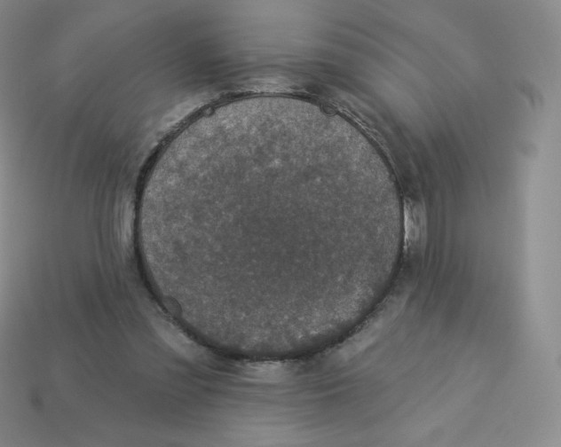 X0000113280301200910131010