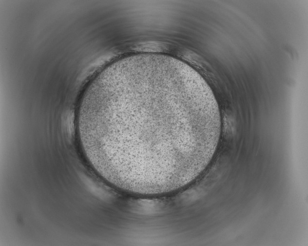 X0000113280302200910131010
