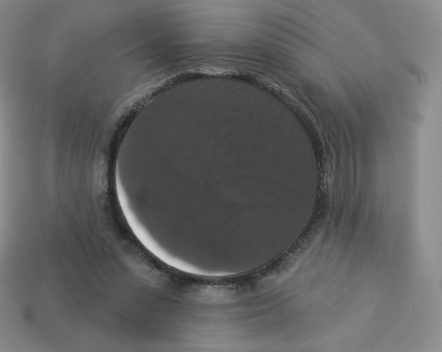 X0000113280303200910131010