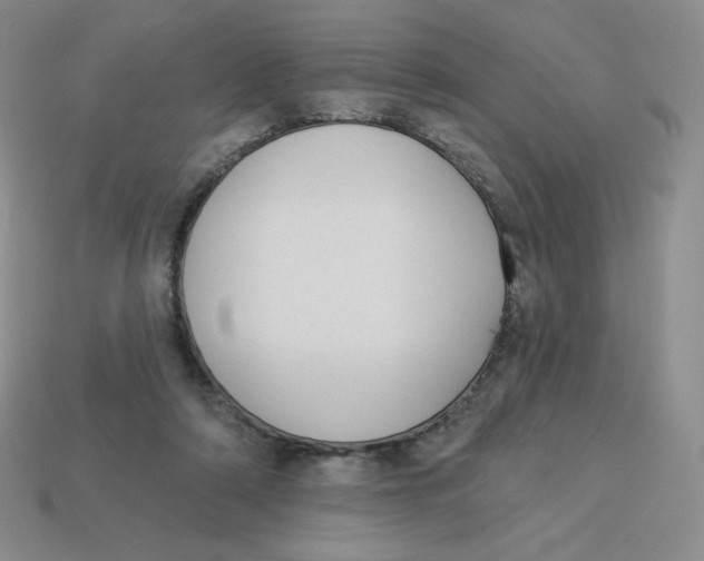 X0000113280306200910131010