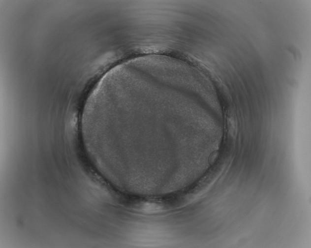 X0000113280308200910131010