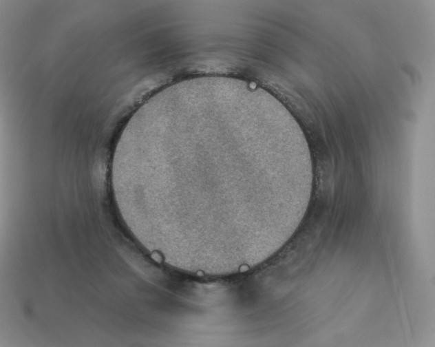 X0000113280309200910131010