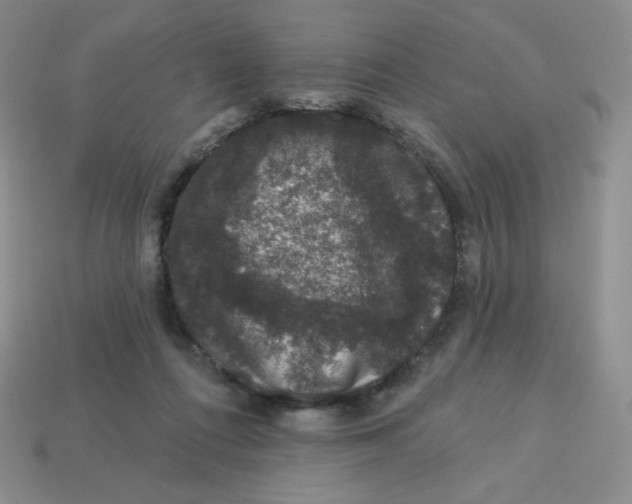 X0000113280312200910131010