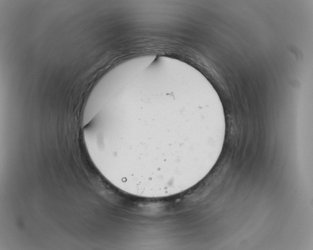 X0000113280313200910131010