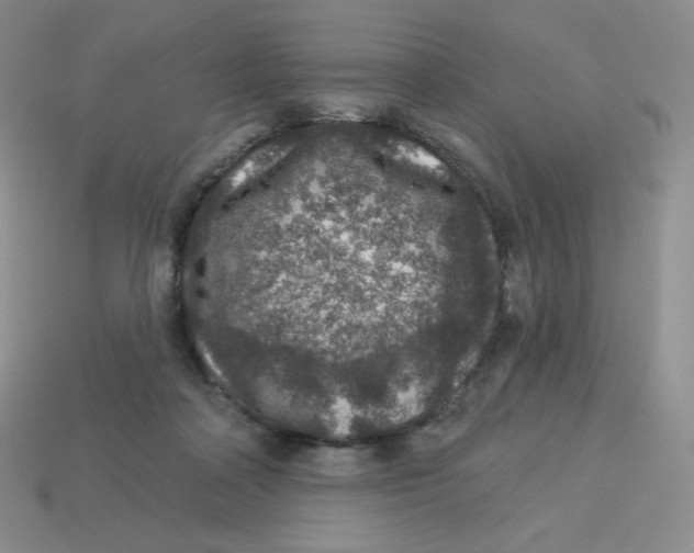X0000113280314200910131010