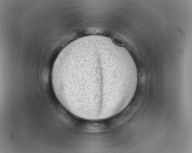 X0000113280315200910131010