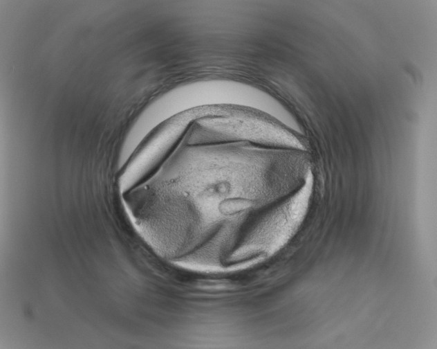 X0000113280316200910131010